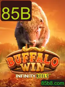 Descubra BuffaloWin: Uma Nova Aventura no Mundo dos Jogos de Cassino