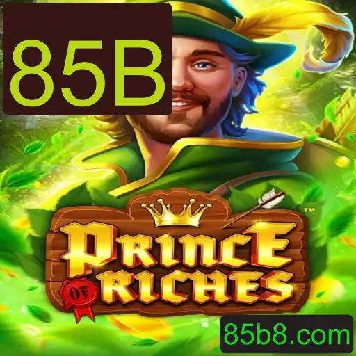 Explorando o Mundo de PrinceOfRiches: A Emoção do Desafio de 85B